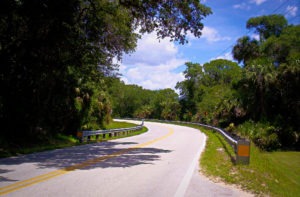 Scenic Ride River Road Florida