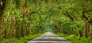 SW Martin Highway Florida Scenic Ride
