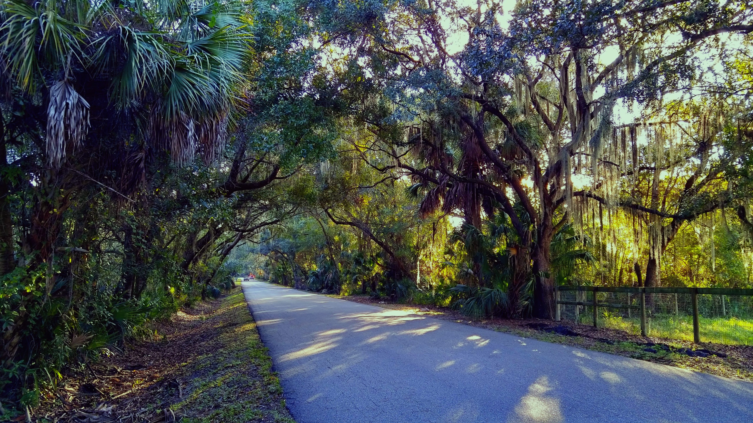 Scenic back Road