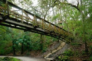 Ravine Gardens State Park